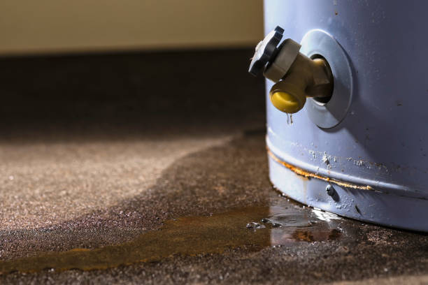 Reliable Glenwood, IA Water damage restoration Solutions
