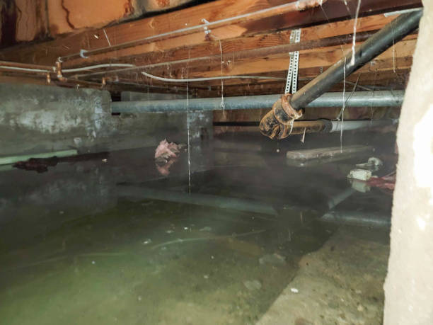 Water damage restoration process in Glenwood, IA