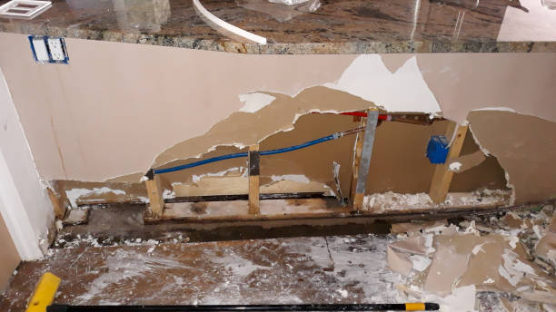 Best Flood damage cleanup  in Glenwood, IA