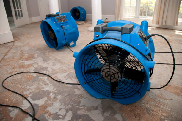 Best Emergency water damage restoration  in Glenwood, IA
