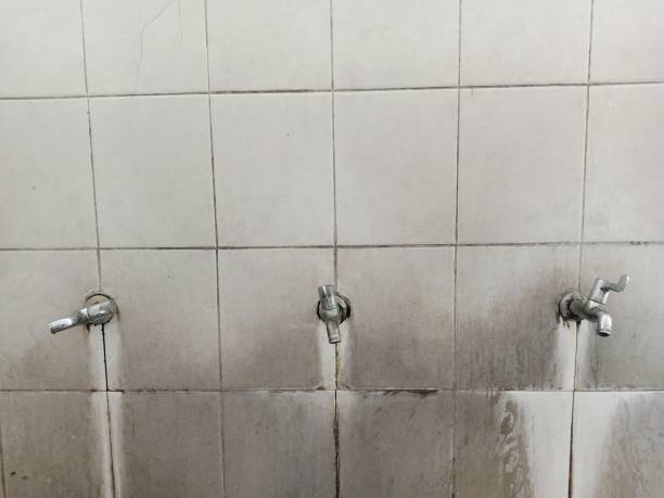 Best Commercial water damage restoration  in Glenwood, IA