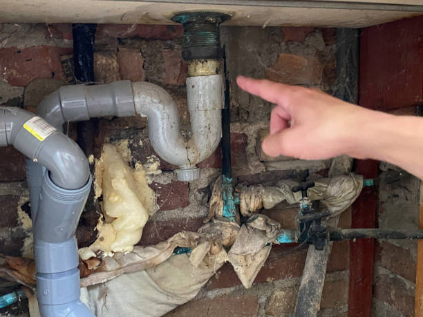Best Mold removal after water damage  in Glenwood, IA
