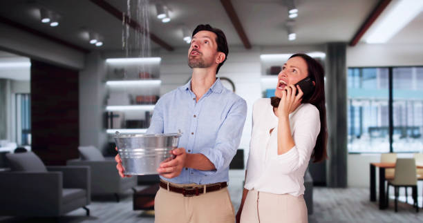Best Fire Damage Restoration  in Glenwood, IA